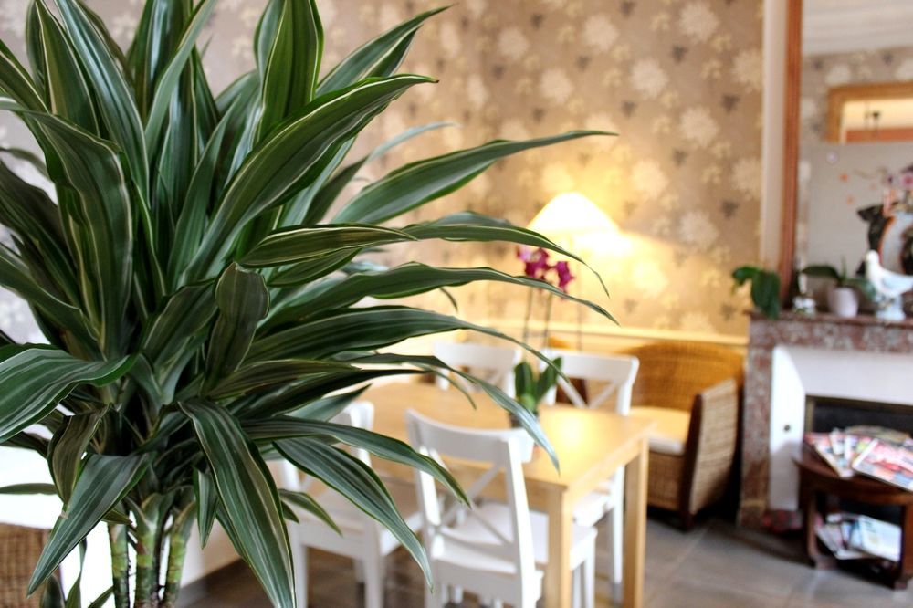 Hotel Les Aubepines Illiers-Combray Εξωτερικό φωτογραφία